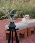 Accent table decor