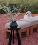 Modern Accent Stool